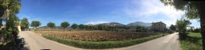 79. Assisi panorama bij vertrek in de ochtend