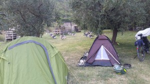 41. De ganzen lopen langs de tent